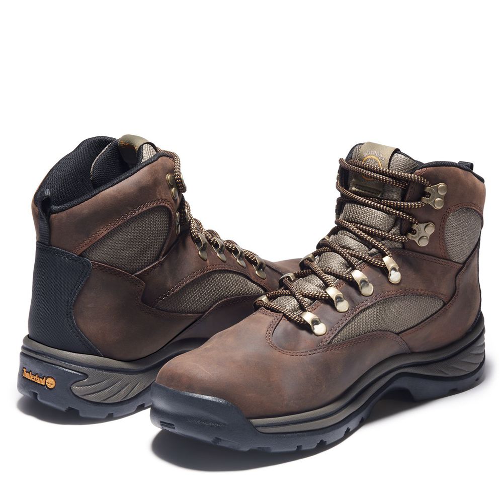 Botas de Montaña Timberland Hombre Chocorua Trail Mid Waterproof Marrones - Chile GXO-023976